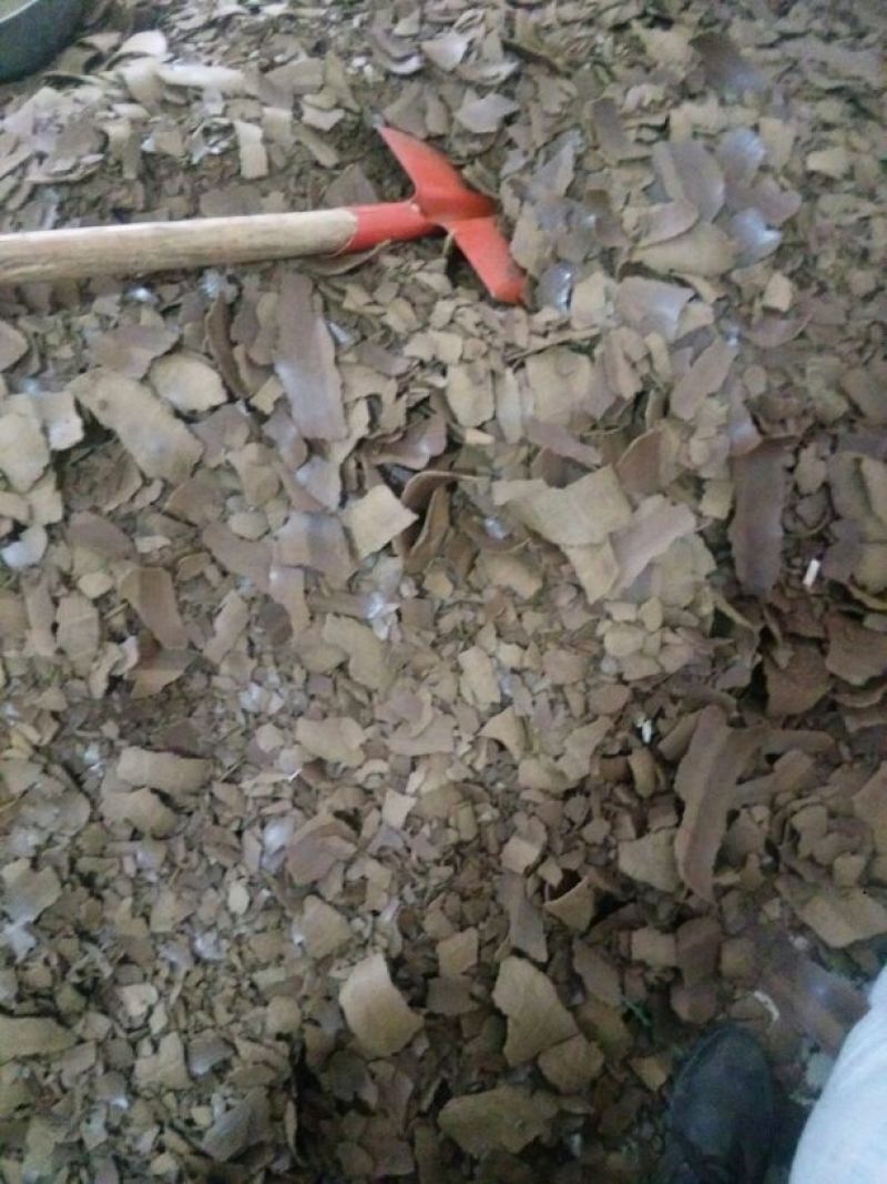菜籽饼加工利用