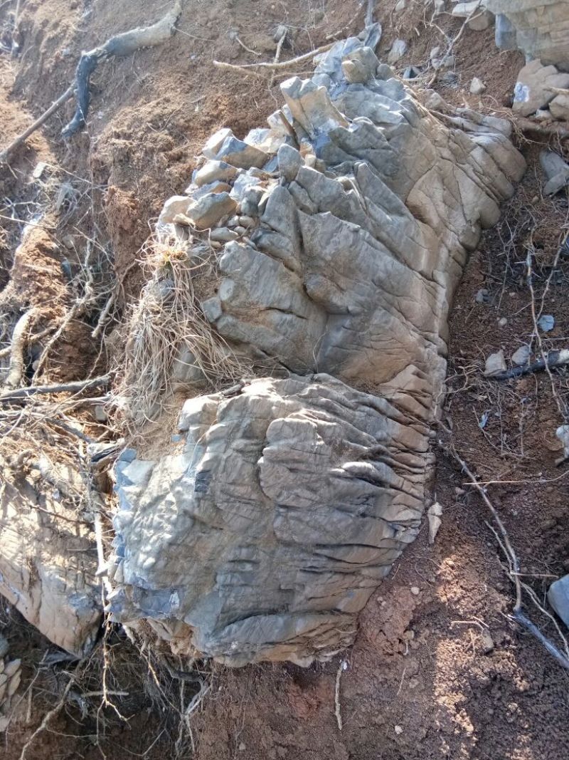 毛石