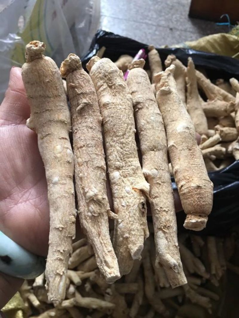 西洋参高年头参味浓，吉林长白山地产花旗参，一斤包邮