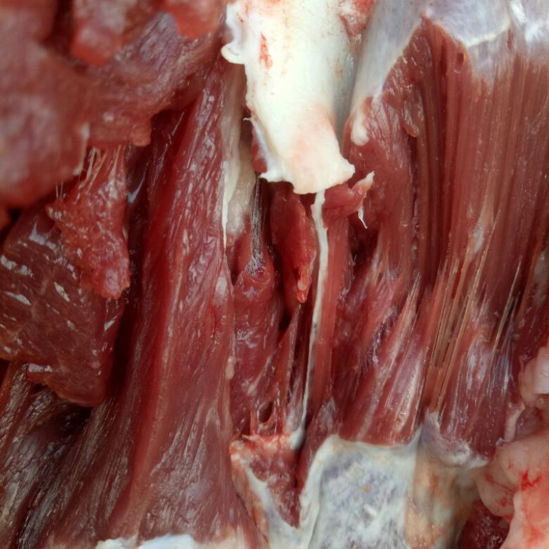 驴肉鲜货