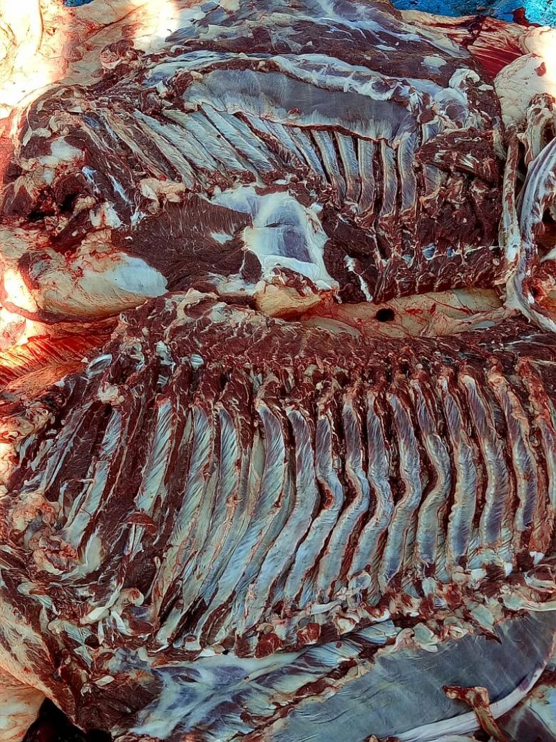 驴肉鲜货
