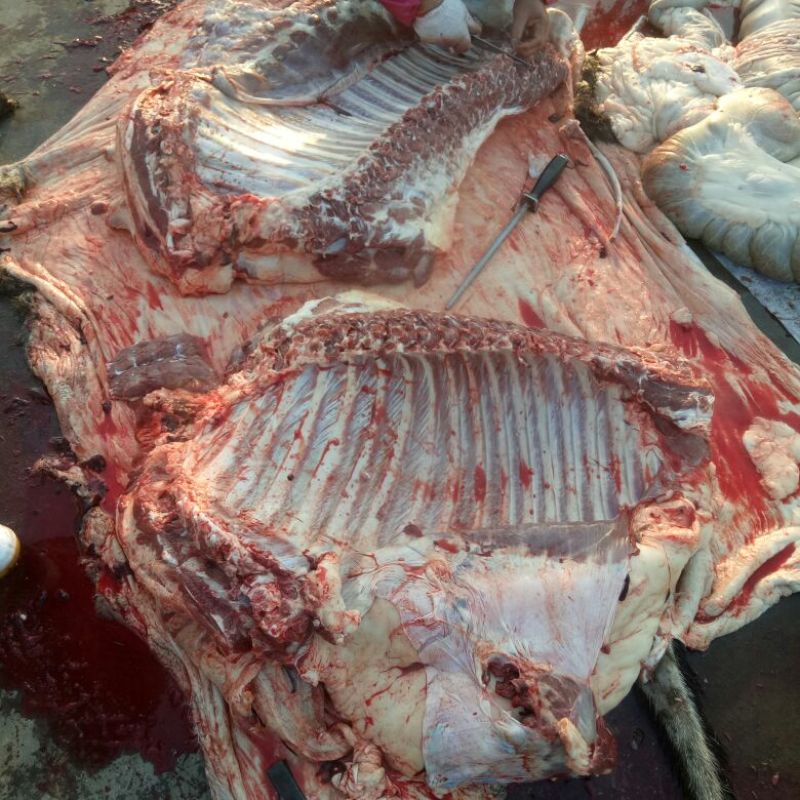 驴肉鲜货