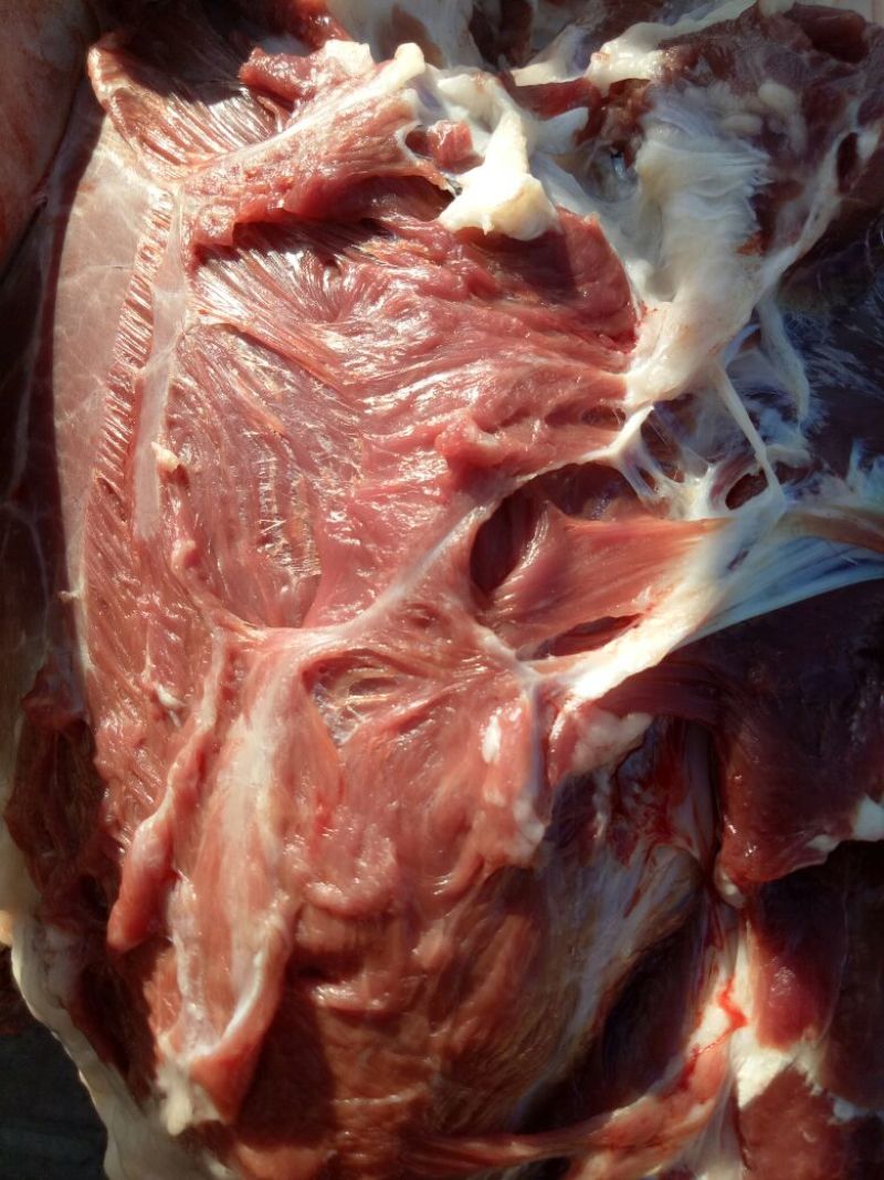 驴肉鲜货