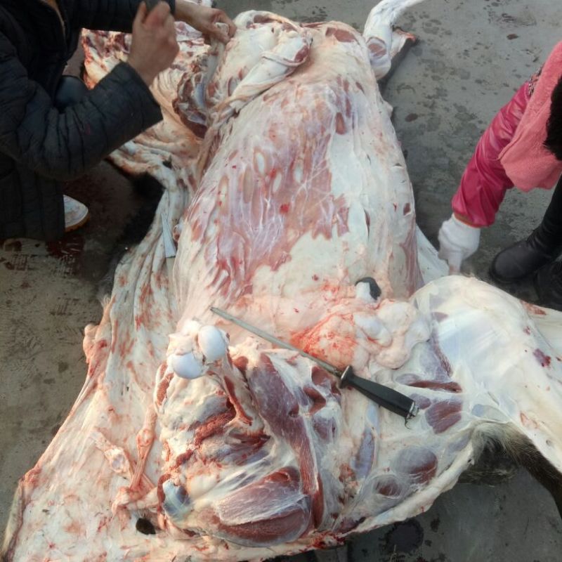 驴肉鲜货