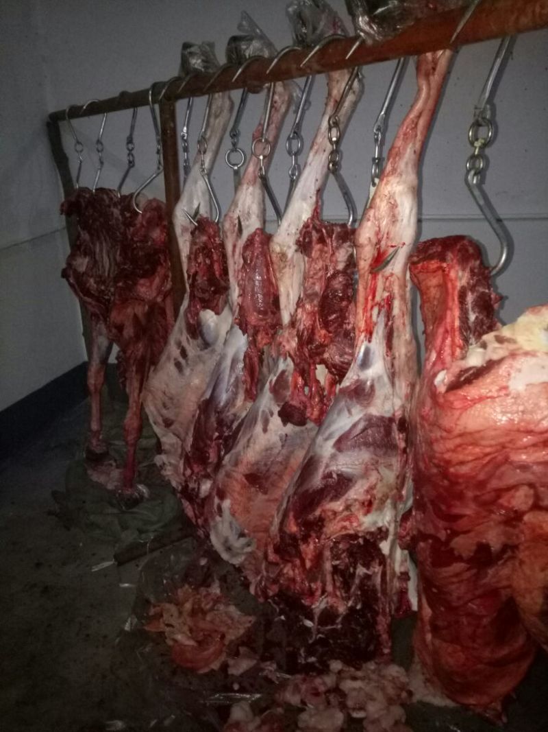 驴肉鲜货