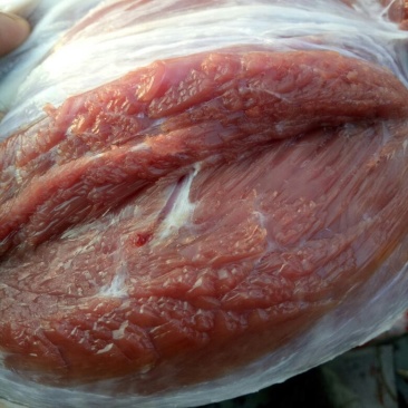 驴肉鲜货