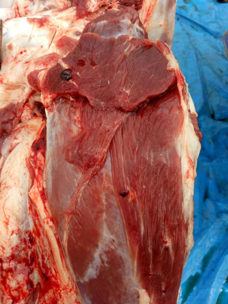 驴肉鲜货