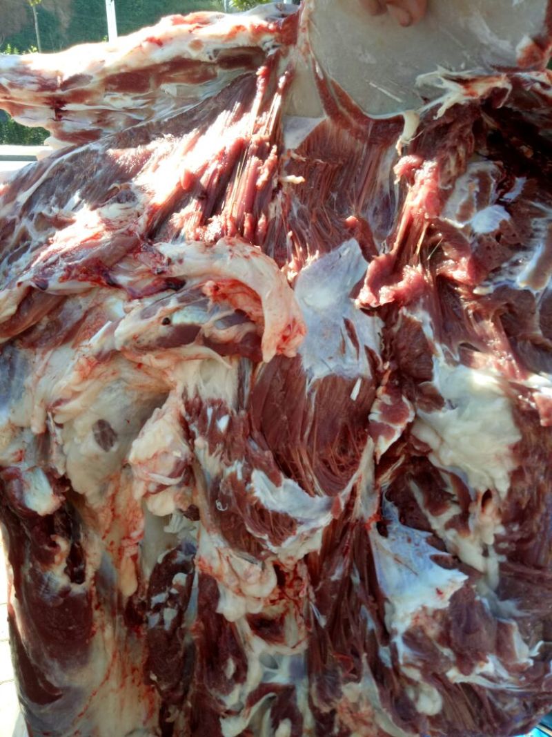 驴肉鲜货