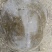 鳖2.5~3斤