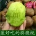 徐香猕猴桃80~100克