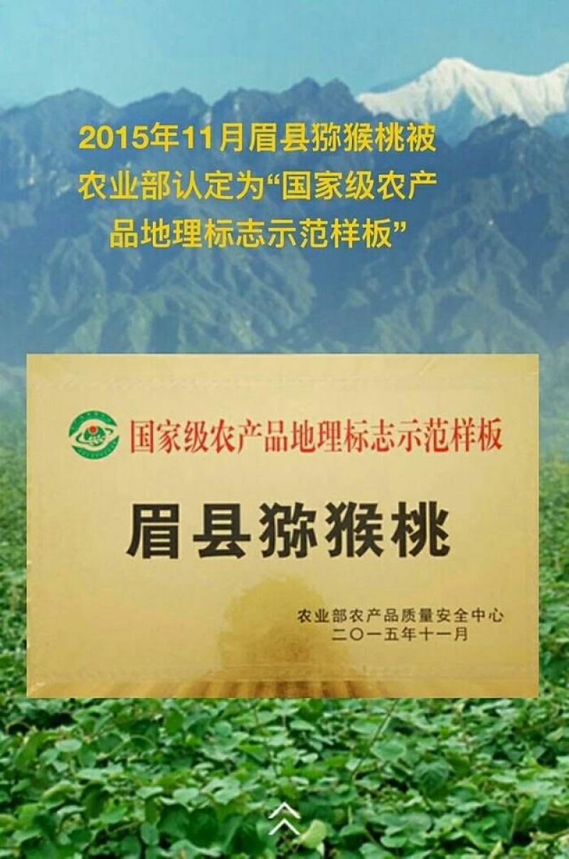 徐香猕猴桃80~100克