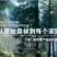 土蜂蜜2斤