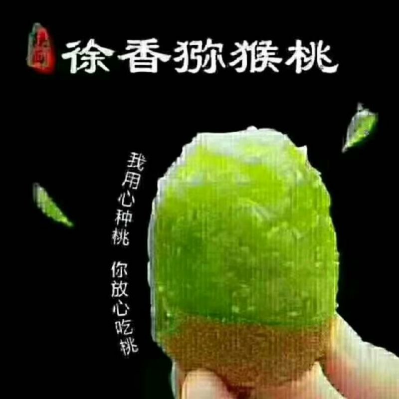徐香猕猴桃90~110克