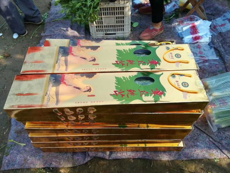 章丘鲍芹60cm以上诚信经营质量保证对接全国电商批发商市场