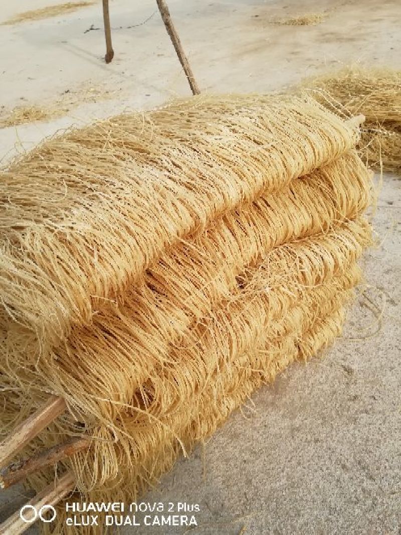 粉丝-红薯粉丝精品龙杨粉条