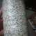 黑皮鸡枞