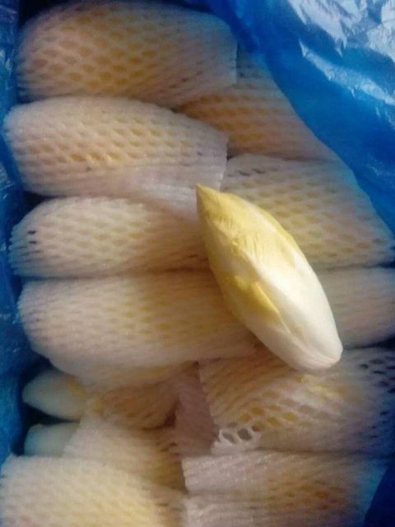 玉兰菜，金玉兰，水培种植，山东高品质基地直供