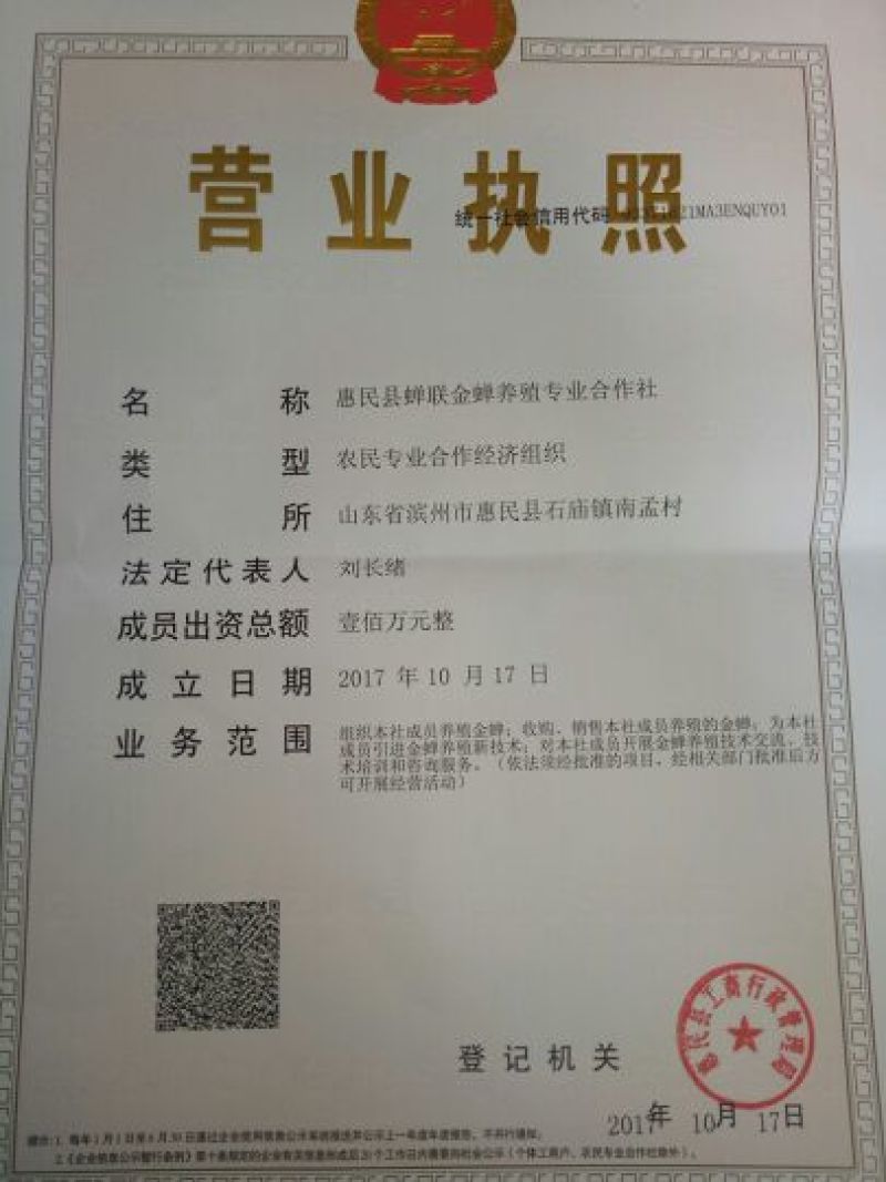 金蝉种苗金蝉卵枝，知了猴卵，金蝉种子，金蝉养殖