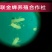 金蝉种苗金蝉卵枝，知了猴卵，金蝉种子，金蝉养殖