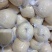 酥梨光150~200g