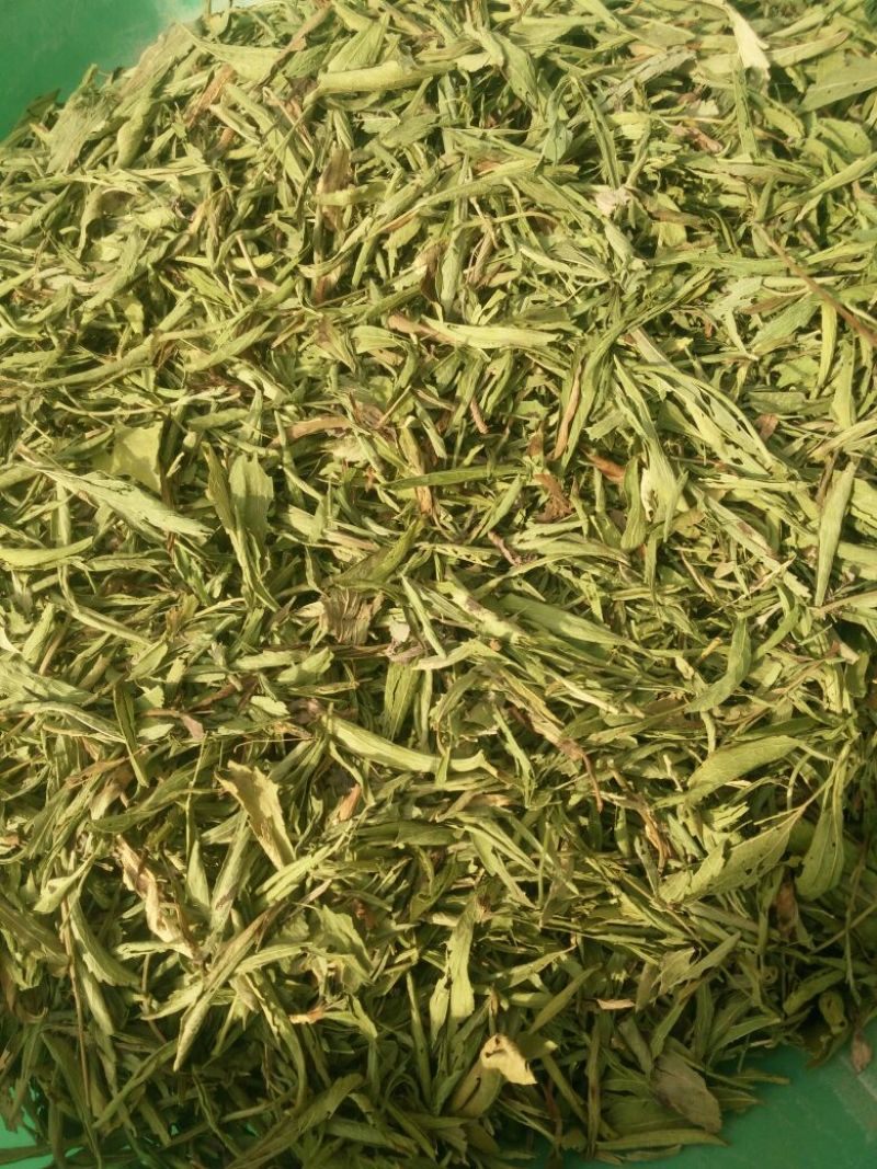 甜叶菊精选
