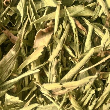甜叶菊精选