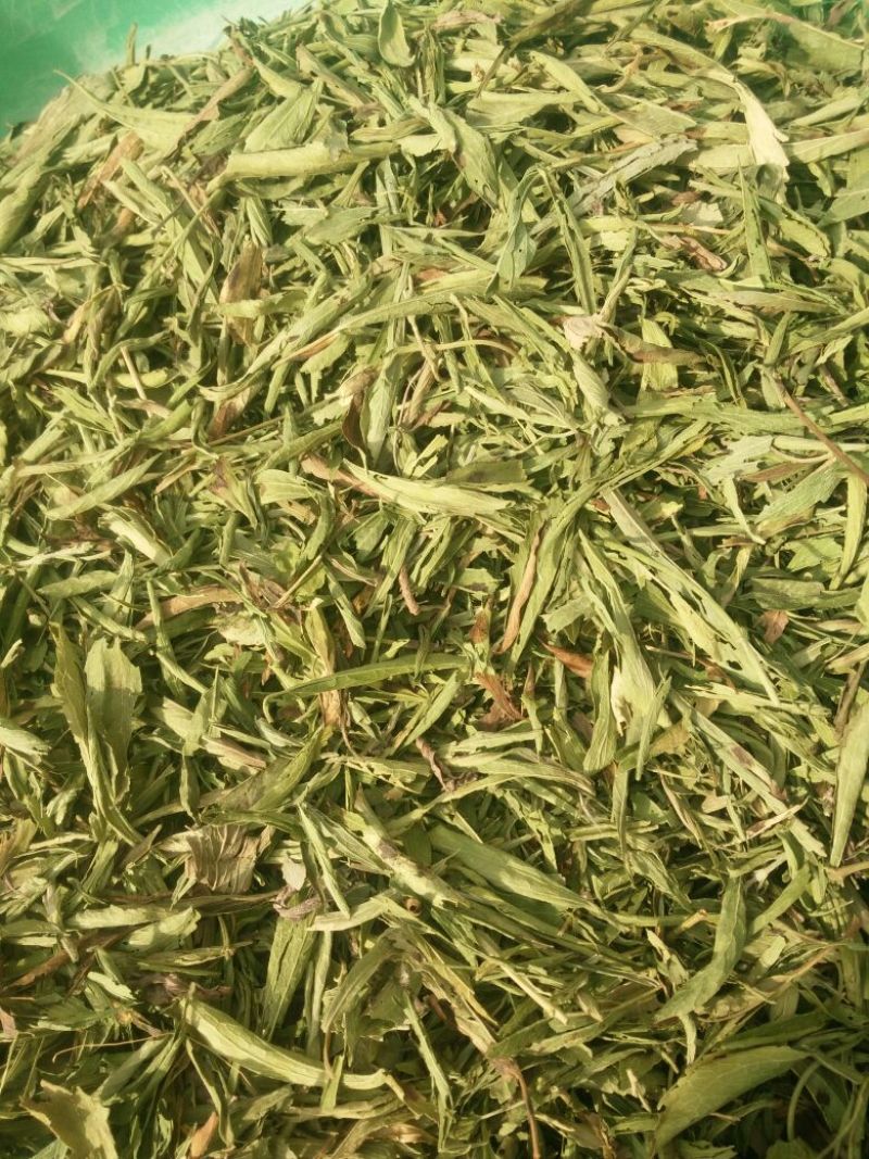 甜叶菊精选