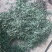甜叶菊精选