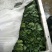 豆瓣菜无公害蔬菜