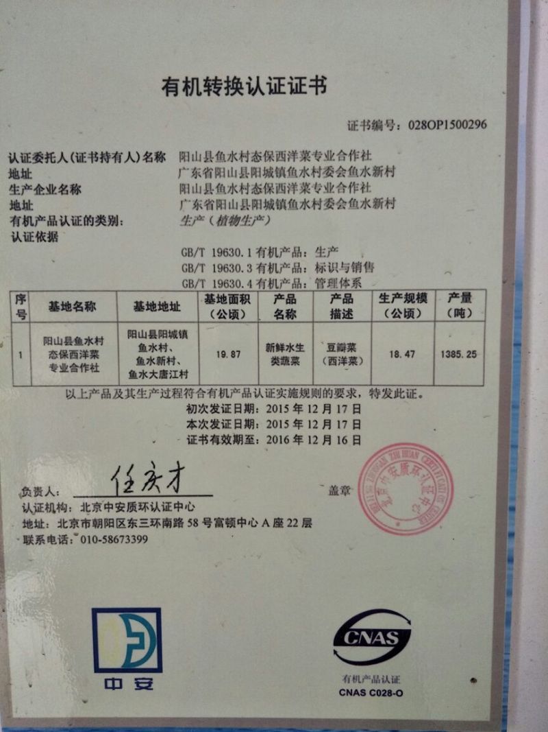 豆瓣菜无公害蔬菜