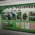 豆瓣菜无公害蔬菜