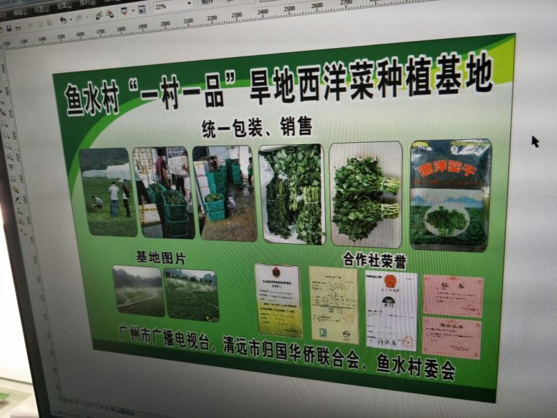 豆瓣菜无公害蔬菜