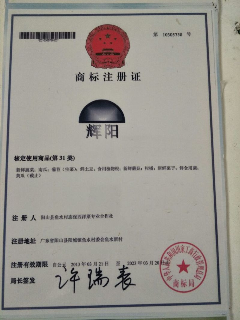 豆瓣菜无公害蔬菜