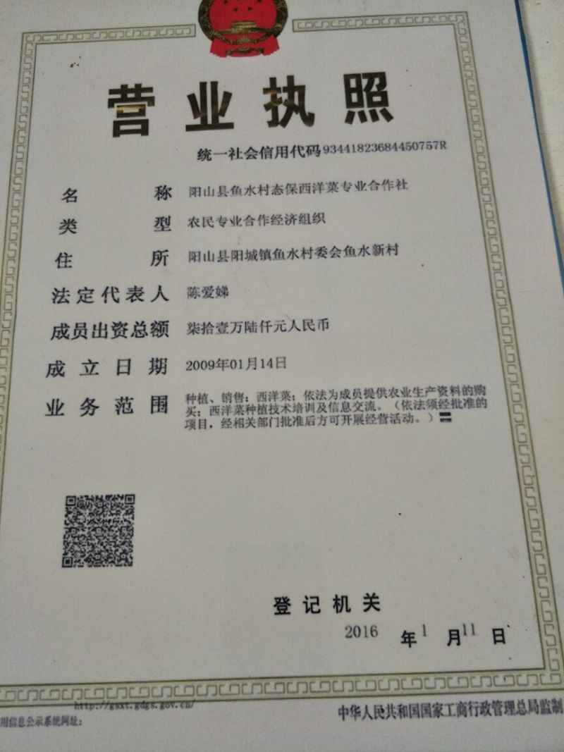 豆瓣菜无公害蔬菜