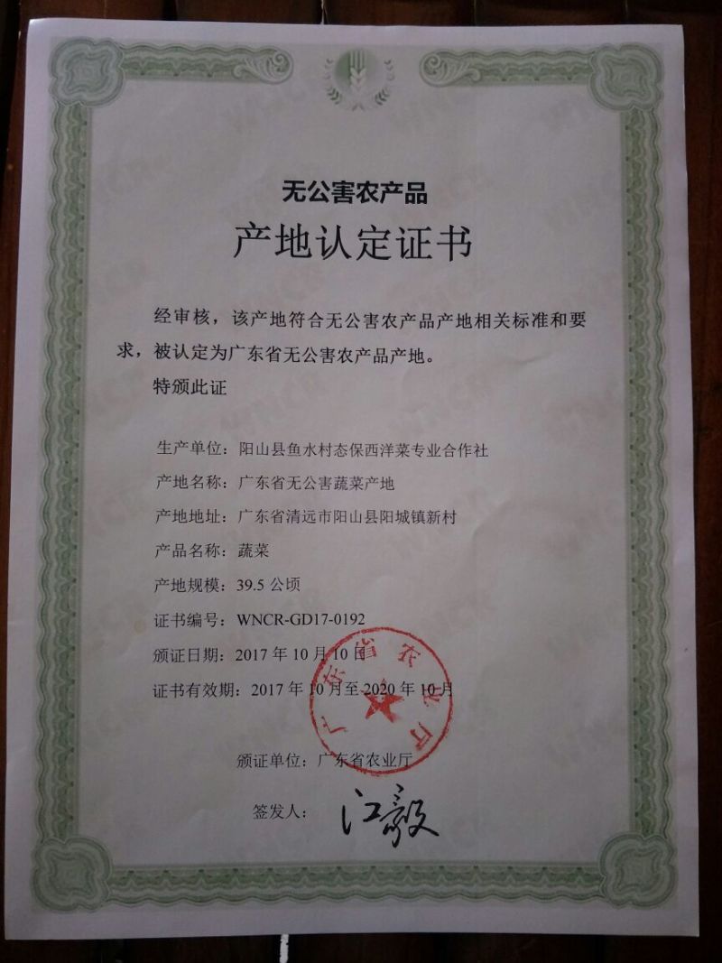 豆瓣菜无公害蔬菜