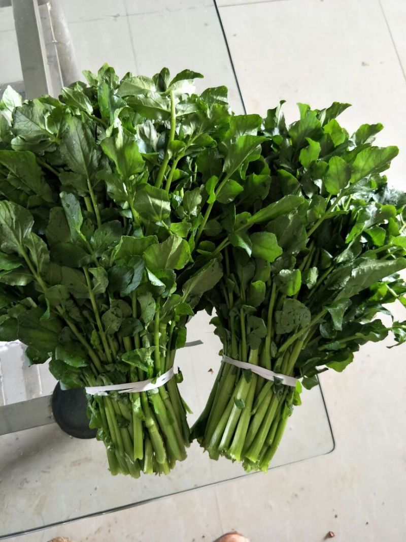 豆瓣菜无公害蔬菜