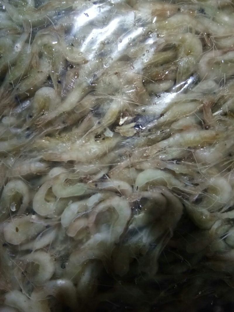 河虾冻虾26~30只/kg另有活河虾各种规格都有