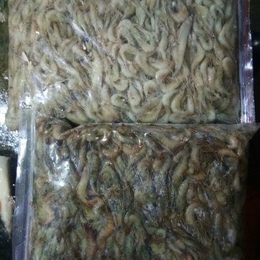 河虾冻虾26~30只/kg另有活河虾各种规格都有