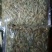 河虾冻虾26~30只/kg另有活河虾各种规格都有