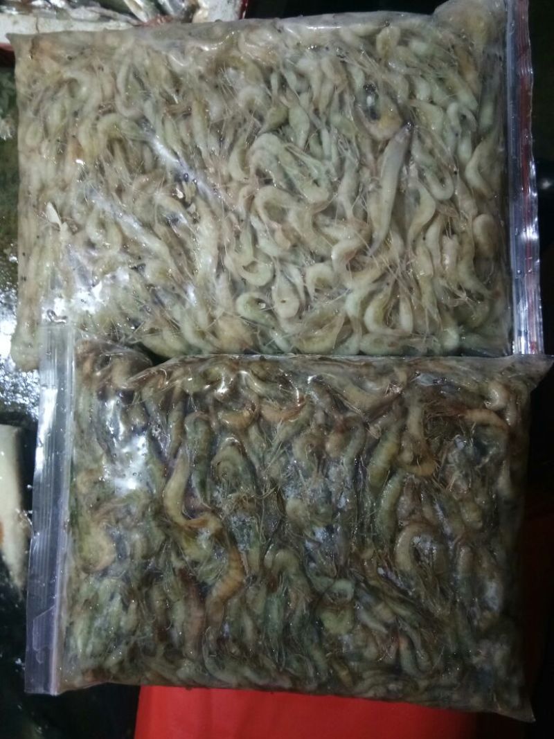 河虾冻虾26~30只/kg另有活河虾各种规格都有