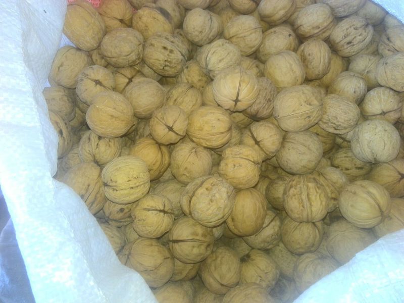 薄皮核桃30~35mm去皮干