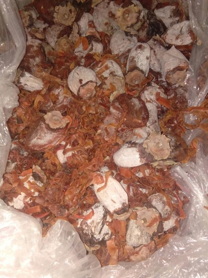 柿饼1~2两