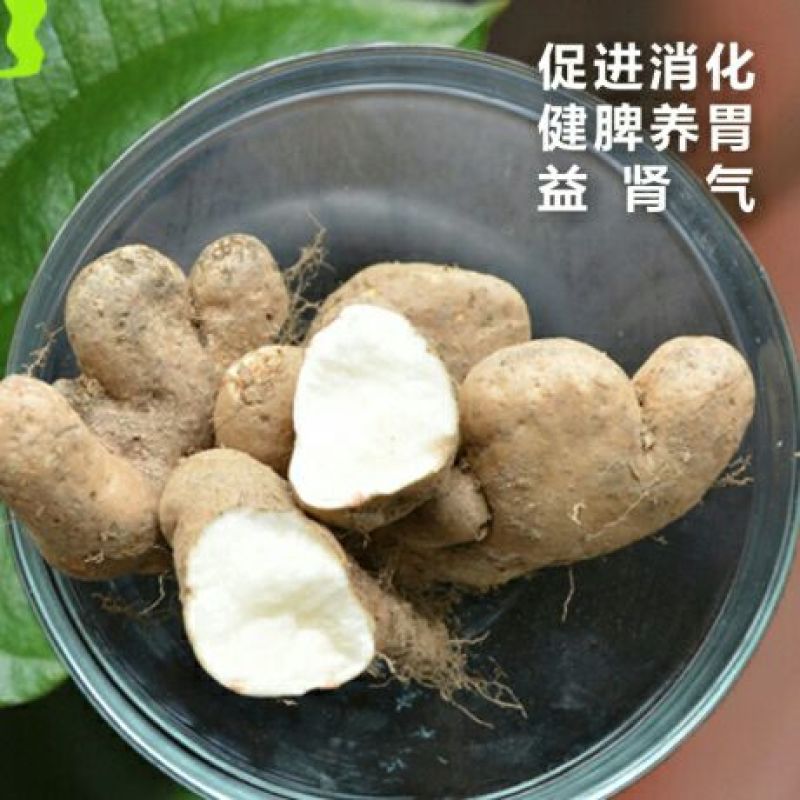 灵芝山药4~6厘米特级手捡20~30厘米