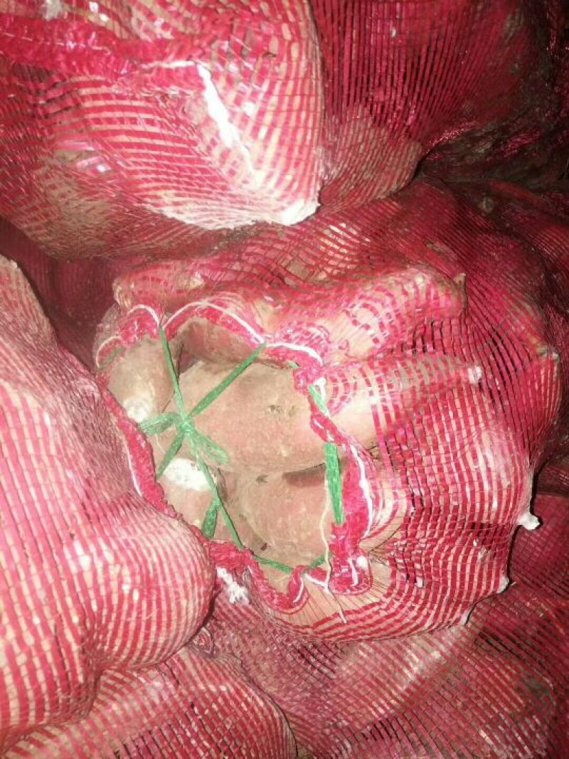 红薯品种有，商薯19，3两以上商品薯，大量上市