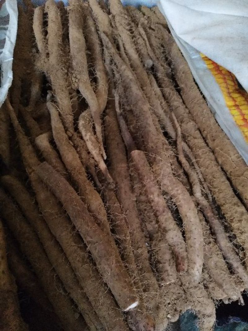 白玉山药3~4厘米一级手捡40~50厘米