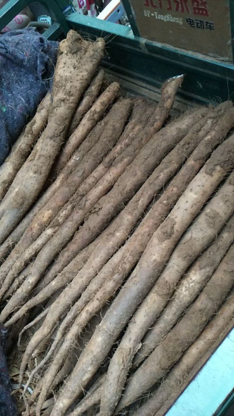 白玉山药3~4厘米一级手捡40~50厘米
