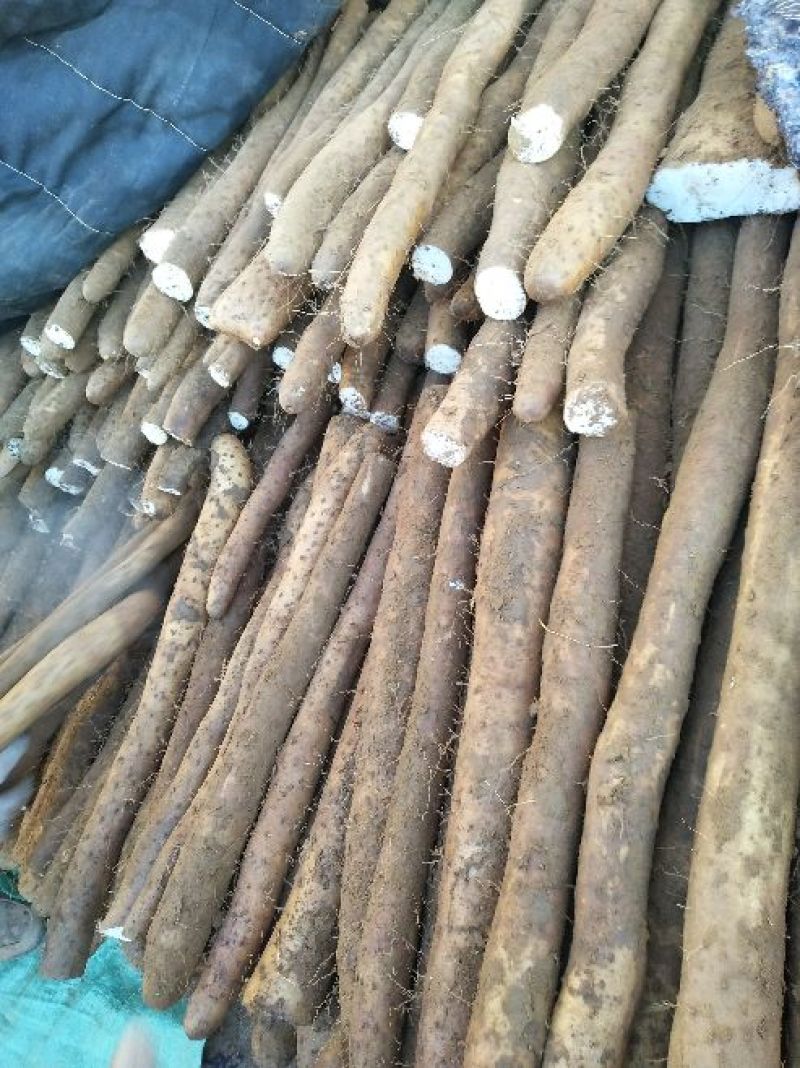 白玉山药3~4厘米一级手捡40~50厘米