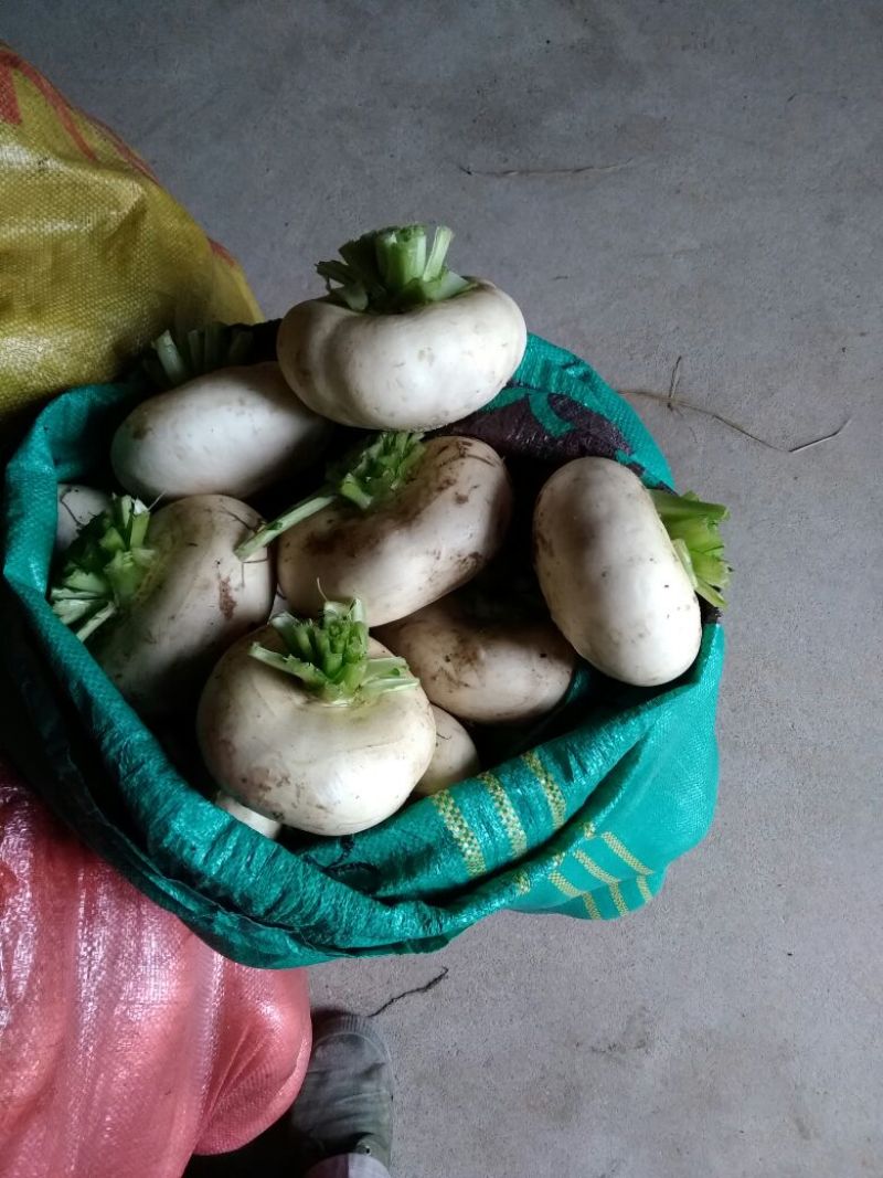 盘菜圆形