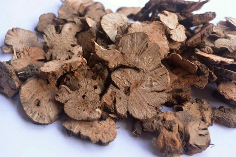 金荞麦纯野生
