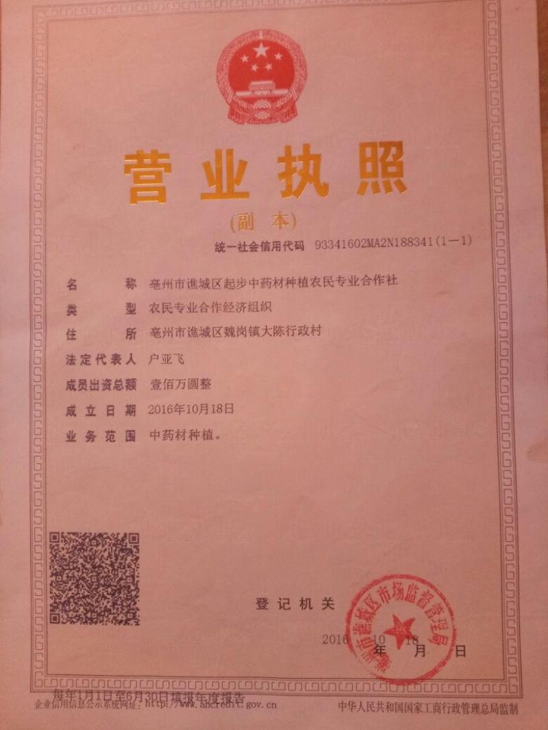 芍药苗改良品种抗寒，抗旱，产量高，